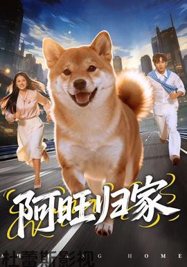 阿旺归家